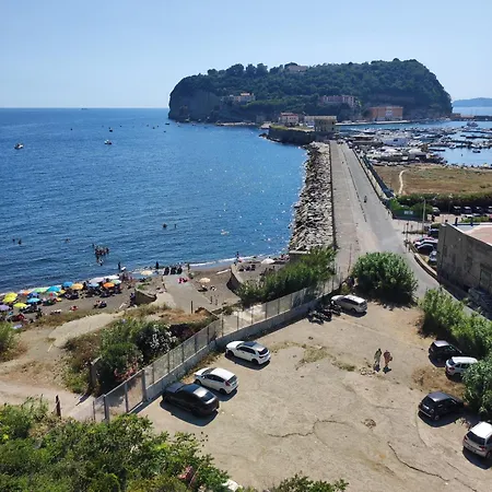 Caio Asinio Apartman *